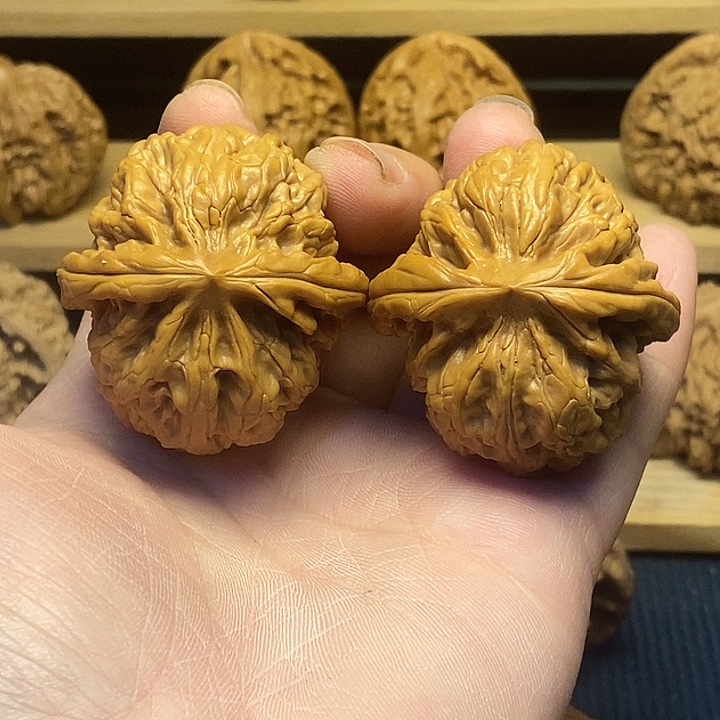 核桃红锦鲤福利核桃