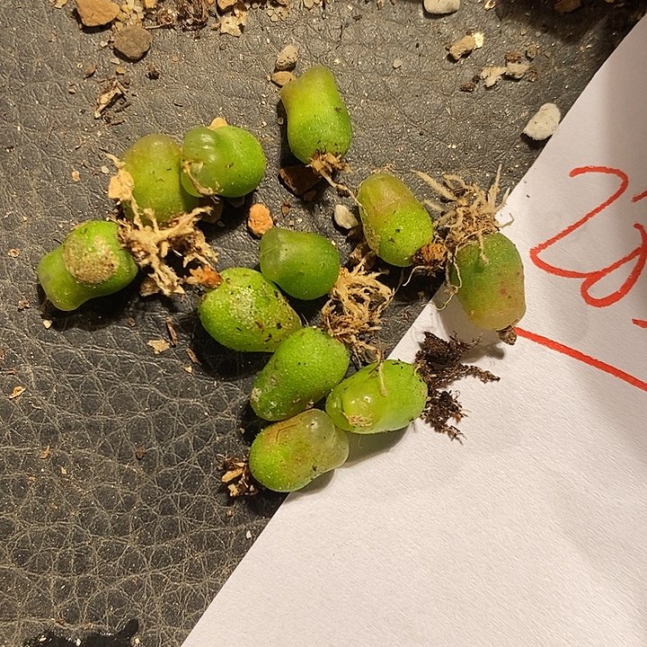 㠛***孴28368。   一组。   