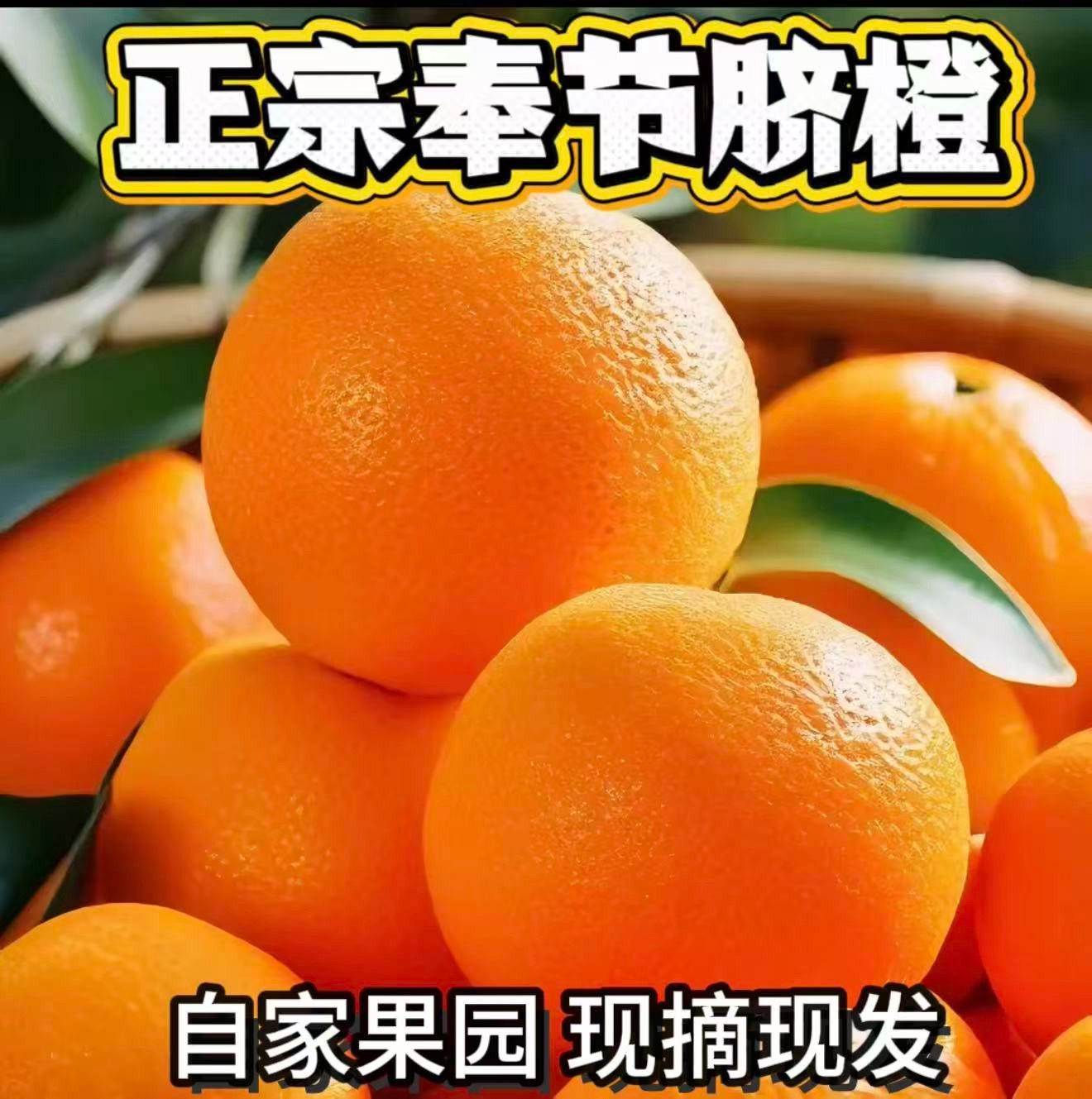 正宗重庆奉节脐橙【福本】现摘果园直发5/10/20斤包邮
