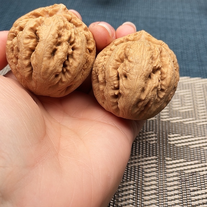 西****霸王龙文玩核桃42