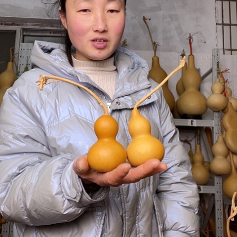 天然植物葫芦文玩