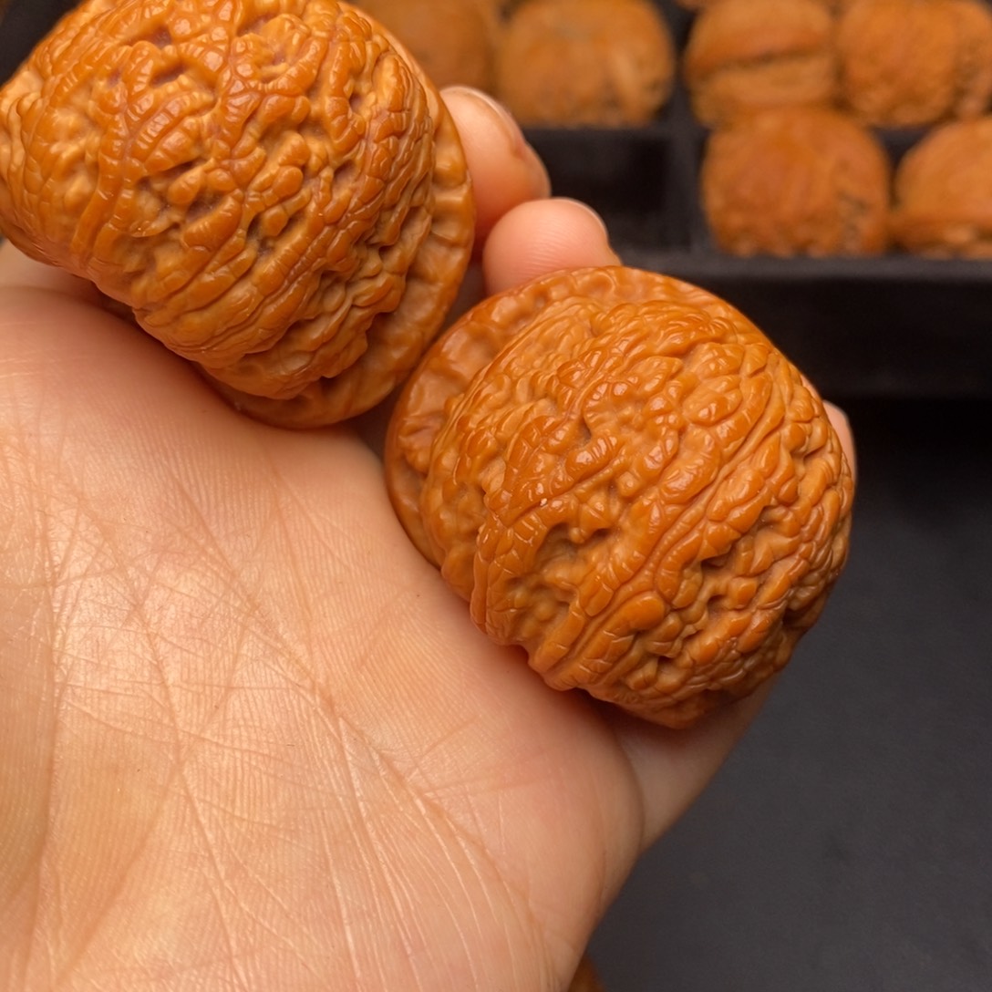文玩核桃把件秦岭野生核桃