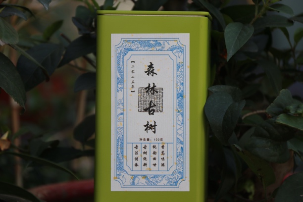 2025年春茶 森林古树 100克装 普洱生茶 散茶 纯料古树 古树茶