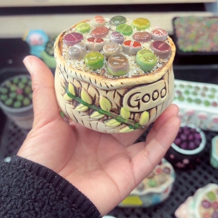 813零下地区记得拍保温箱满18包邮