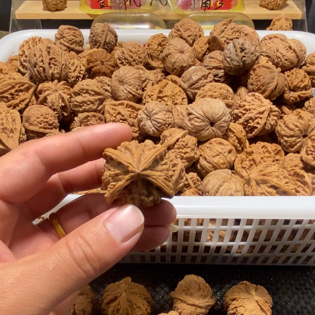 T***董核桃异形单只异形