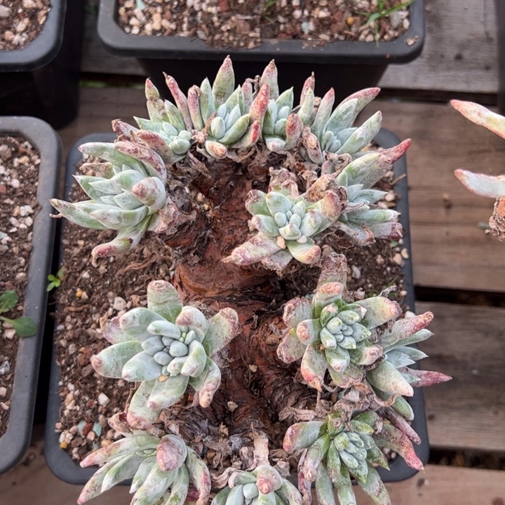 573哈哈哈哈哈哈哈