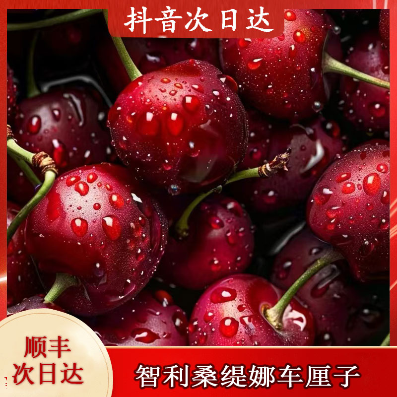 【精品黑车】1智利进口桑提娜车厘子3JDD/5斤原箱顺丰包邮到家年货同城送