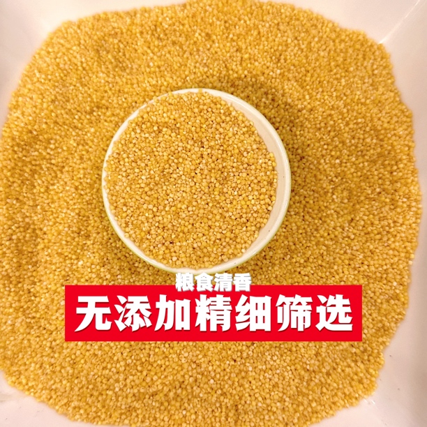 农家大黄谷无杂质鸟粮小米