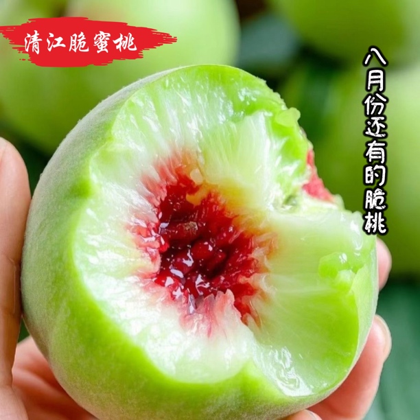 【三峡脆蜜桃】三峡清江脆蜜桃八月脆桃新鲜现摘非青州冬桃秭归5斤