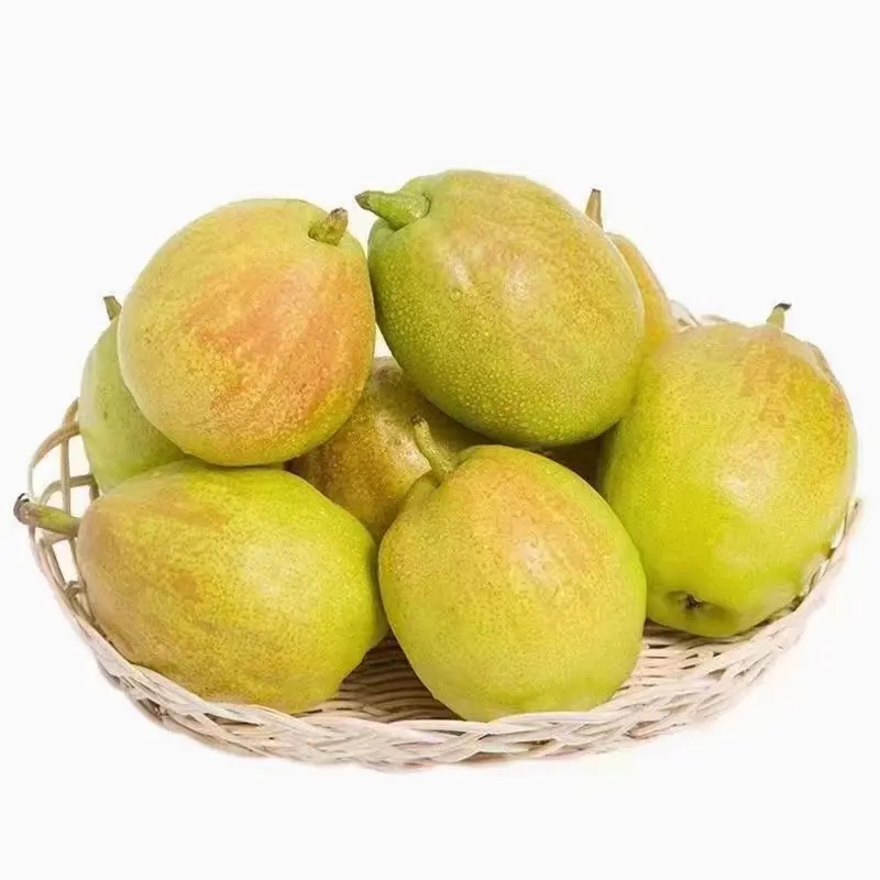 正宗新疆库尔勒香梨新鲜当季水果香梨一整箱香酥薄皮汁多又甜