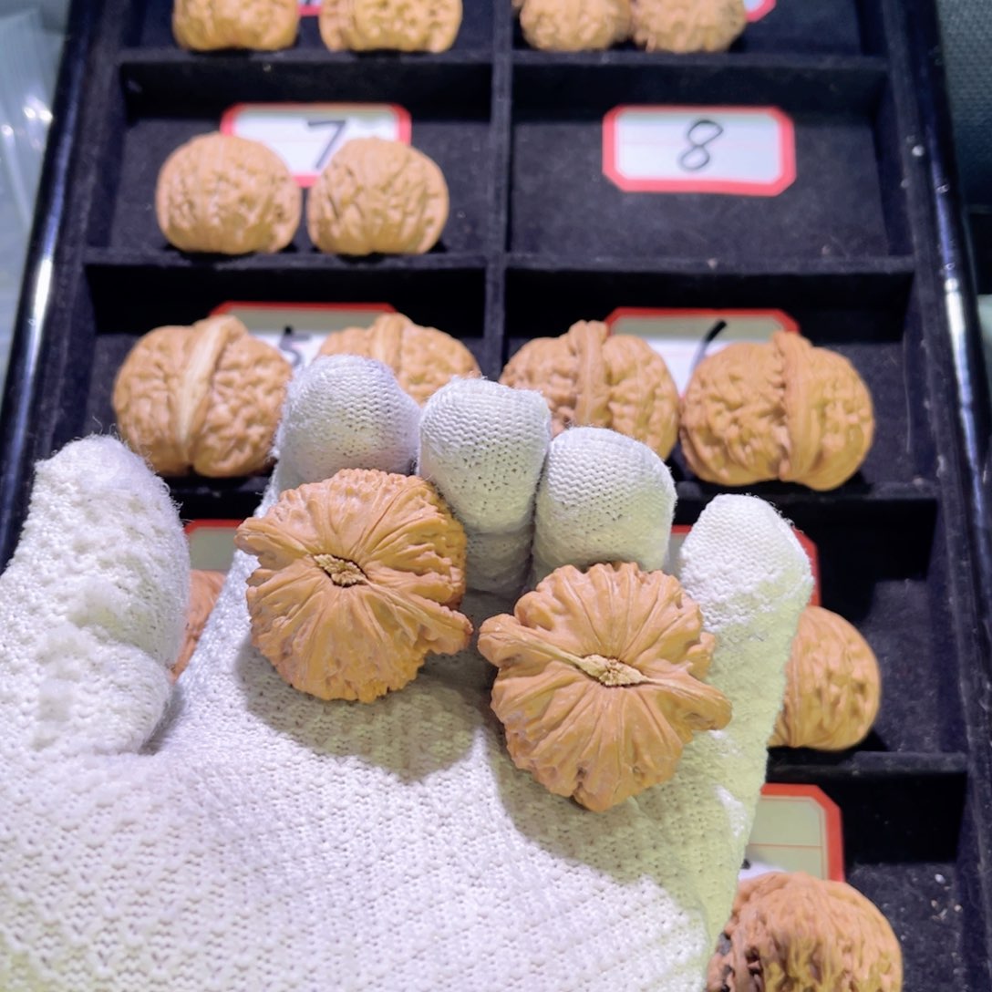 卖****?秦皇岛山地果全品
