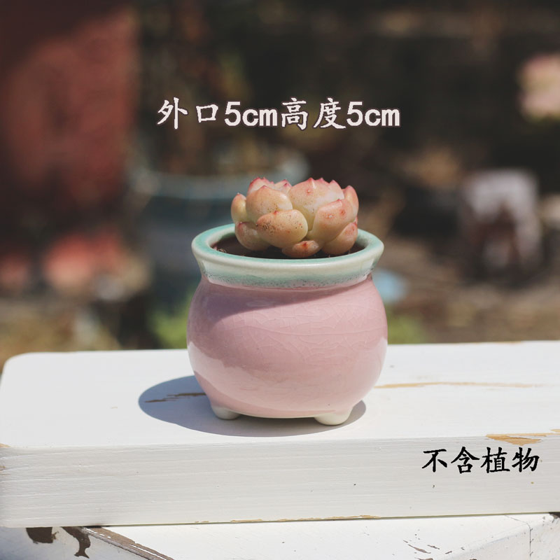 多肉陶瓷花盆冰裂流釉个性简约窑变创意桌面透气装饰