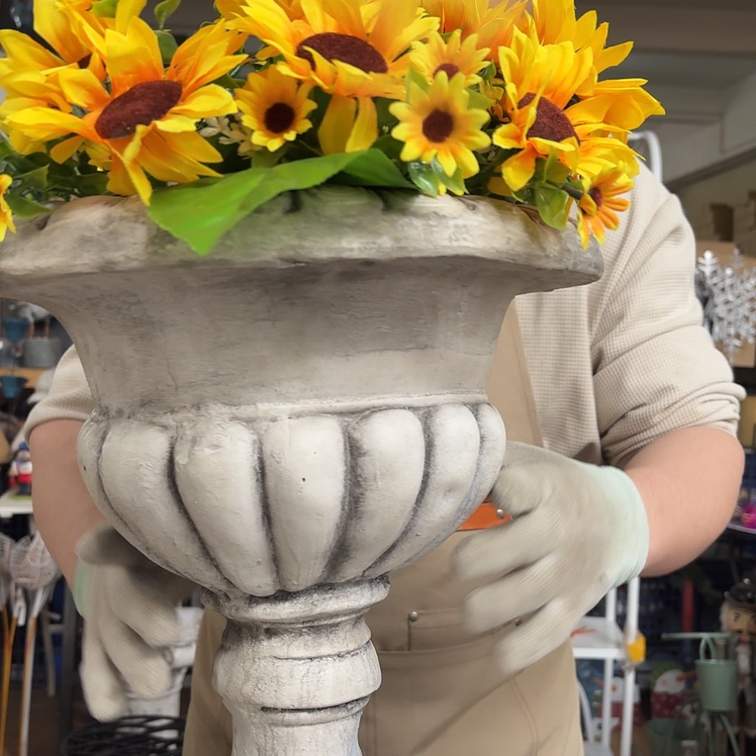 核桃木/黑胡桃（胡桃木）