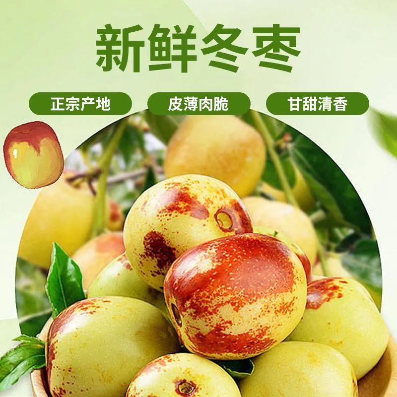 【武威同城】精品新鲜冬枣约420g/盒