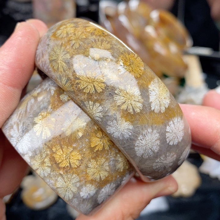 硅化珊瑚（珊瑚玉）手镯未镶嵌50,6