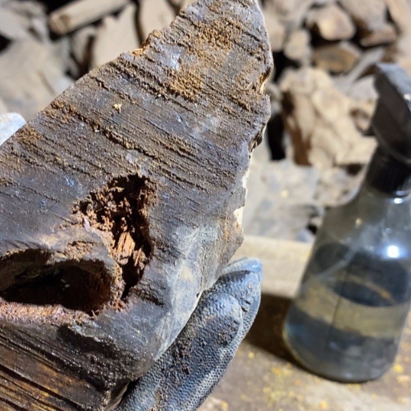 【闪购商品】把件贡木J**k私人订制