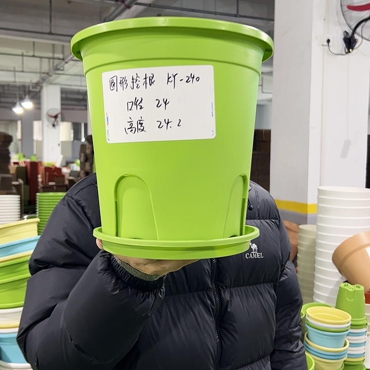正品圆控口24高24果绿带托8只