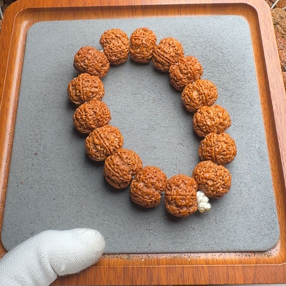 菩提菩提10号尼泊尔大金刚22梅花蜂窝