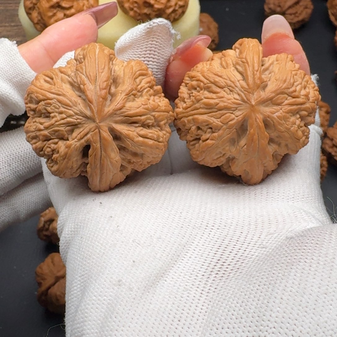 文玩核桃把件45粗筋4735