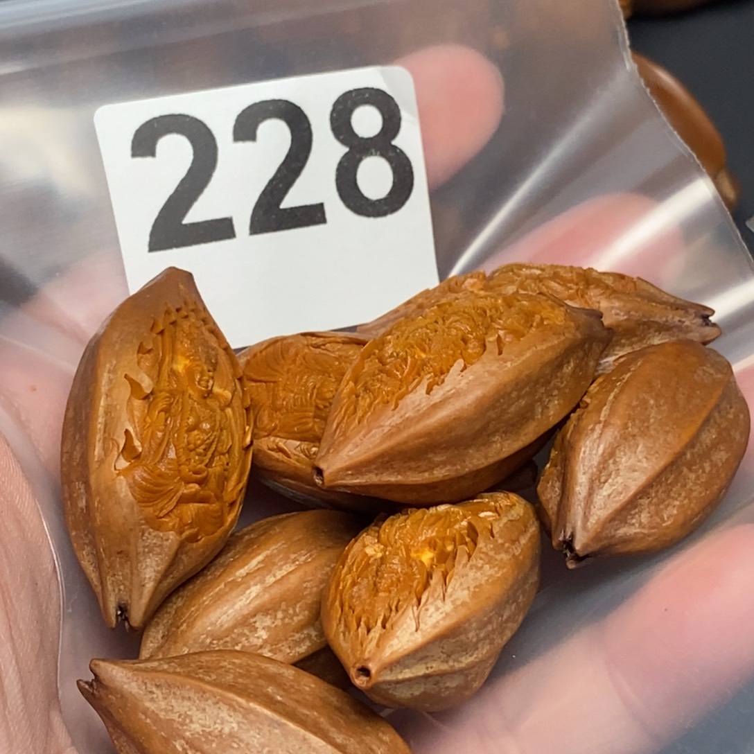 _***无手串/手链橄榄核228八大菩萨