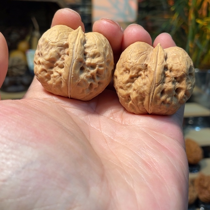 @***淡把件文玩核桃编号17