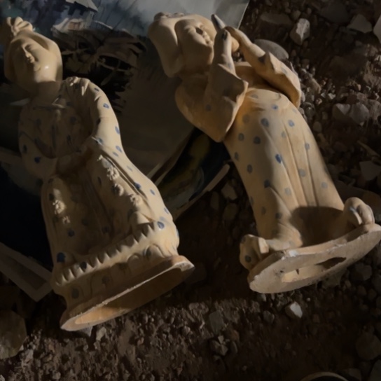 笑***下杂色豆（科檀/科特迪瓦檀木）