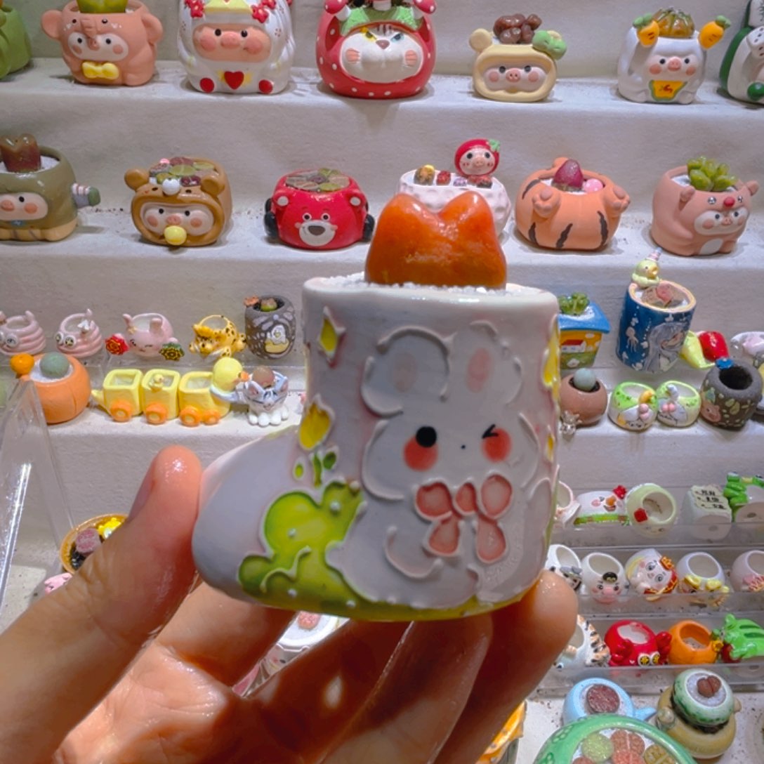 013高端多肉带盆土一套48