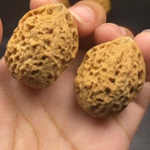 文玩核桃把件35尺云南核桃