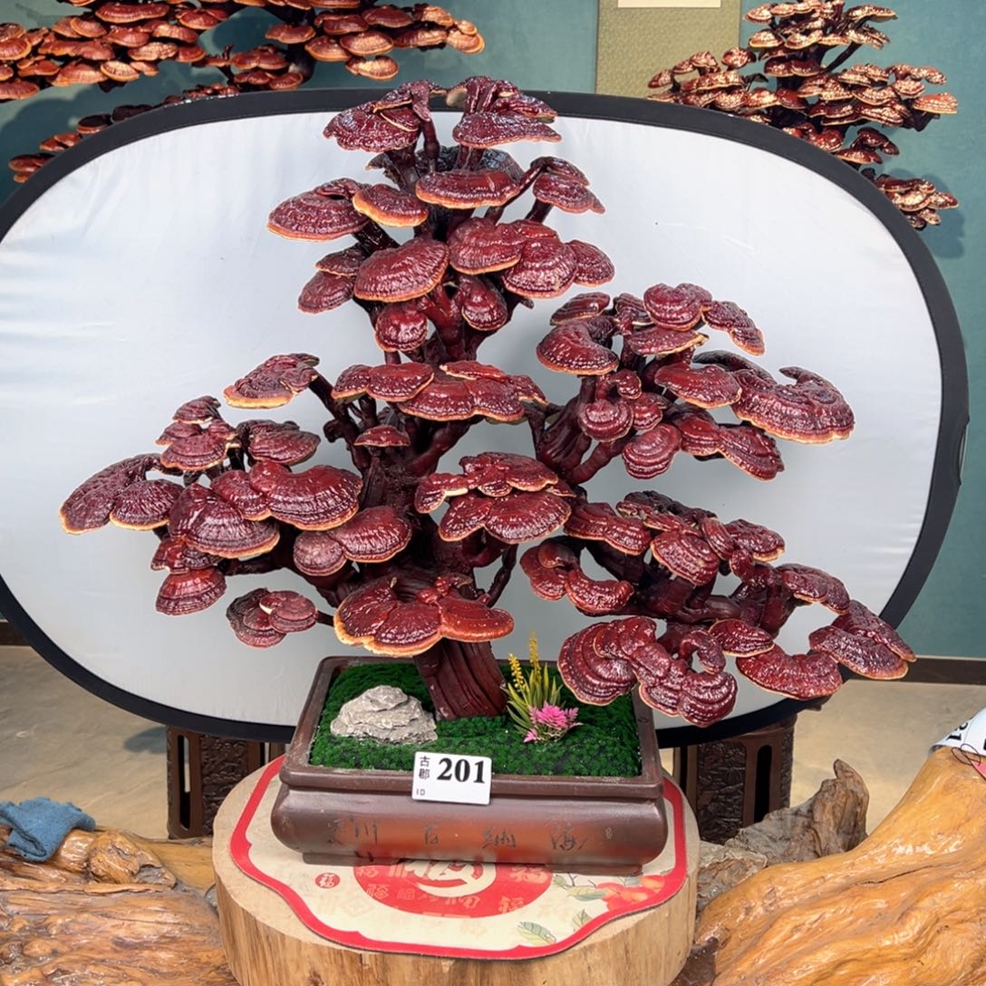 自***哥无花朵8688888888888