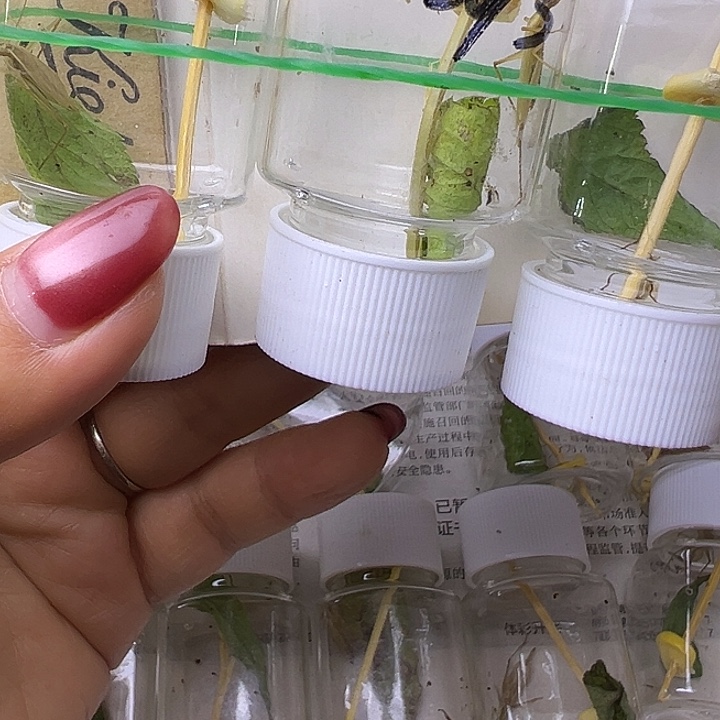 虞***叹哈哈哈哈哈哈哈哈哈哈哈哈哈哈