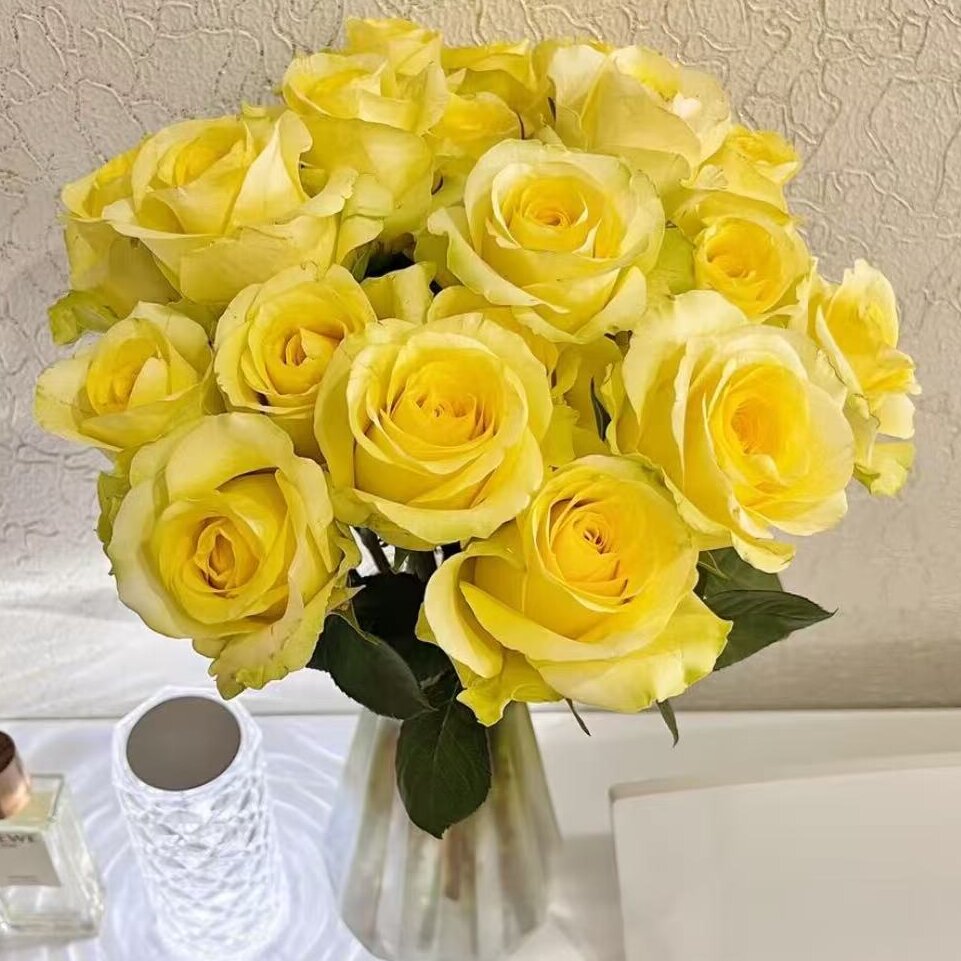 【浪漫沙滩单头玫瑰10枝】【两单冷链发货】