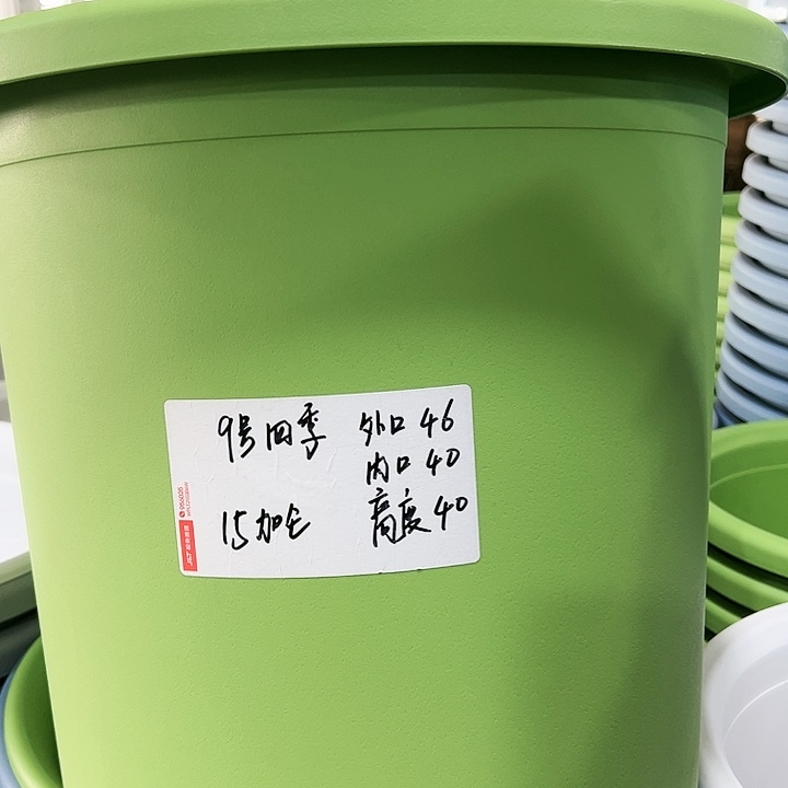 特价9号四季口46高40果绿无托2只