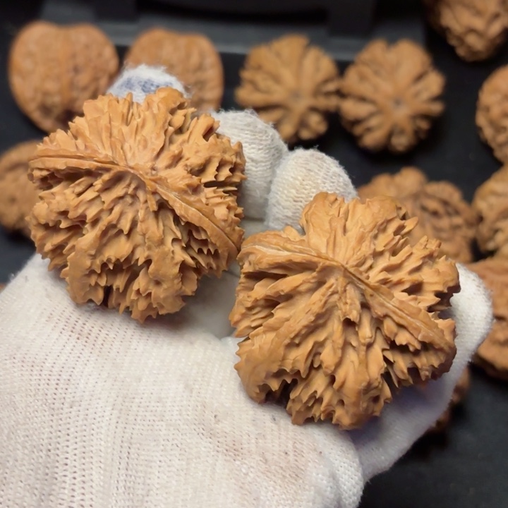 文玩核桃吊坠俊**驰秦岭野生灯笼12