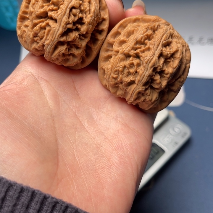 文玩核桃把件粗筋44