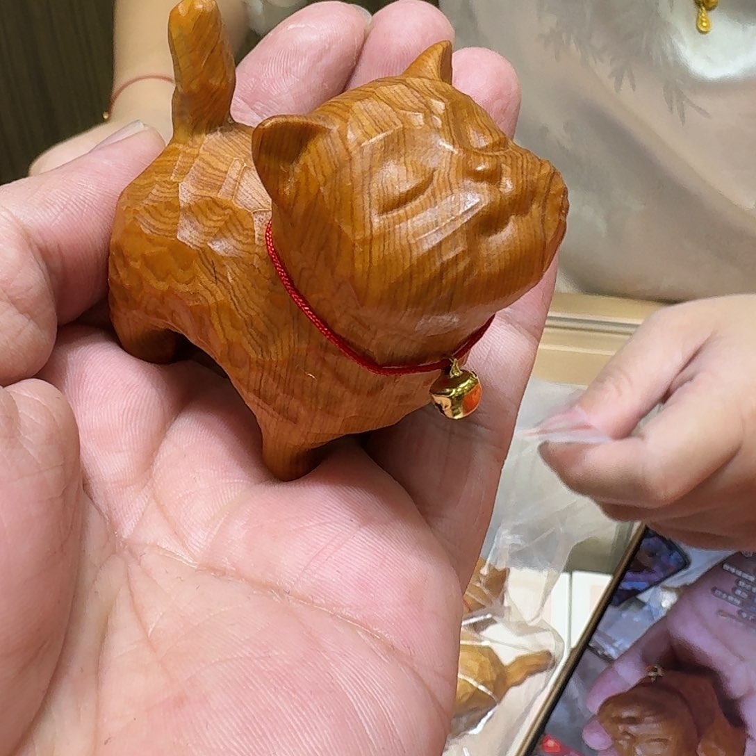 崖柏傲娇猫猫猫猫