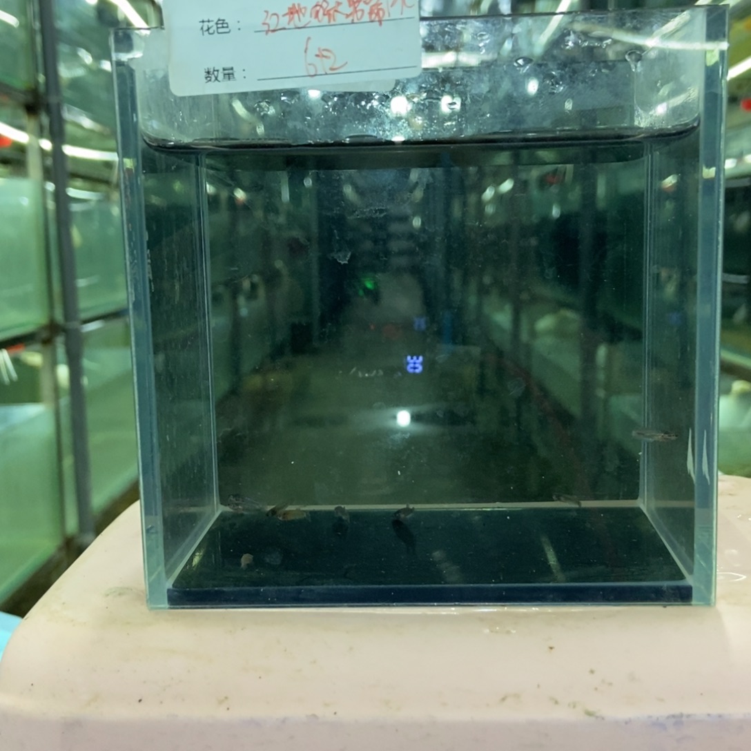 斗鱼包活不包损所见即所得140