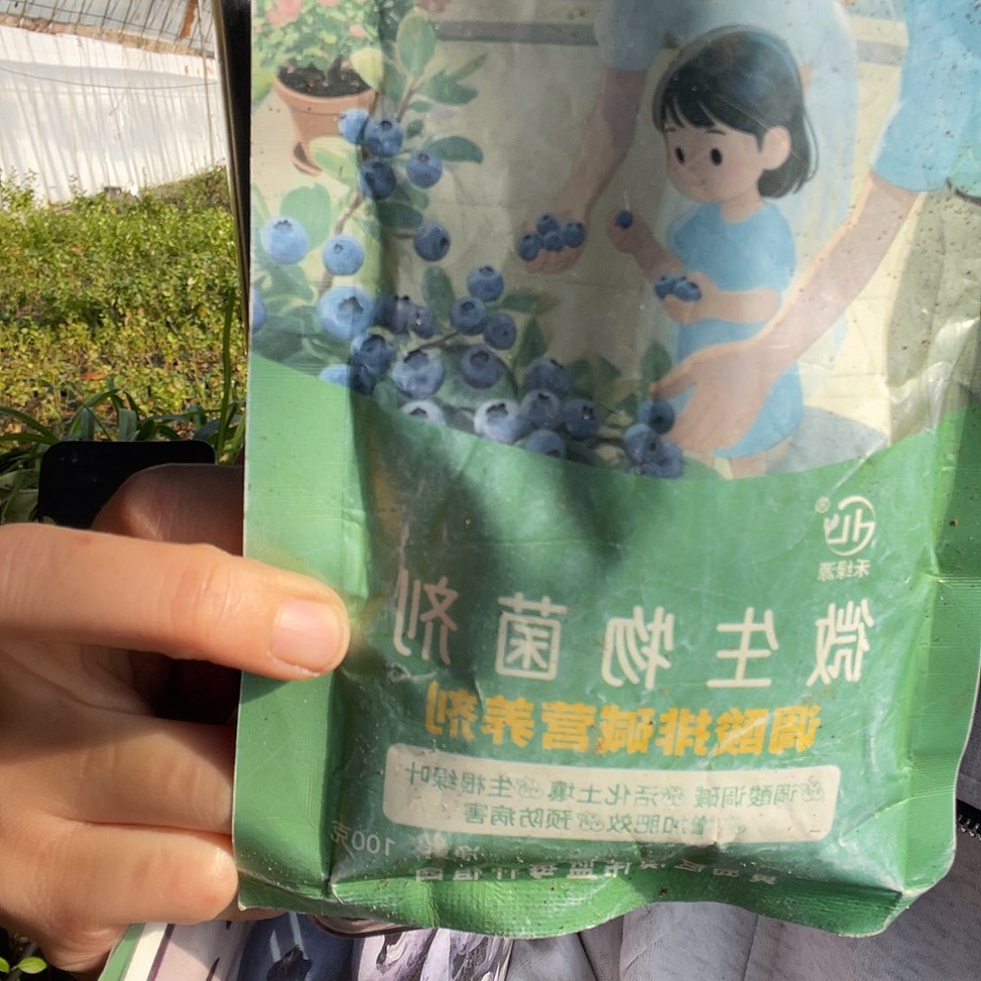 调酸菌剂 送一棵带盆的f6