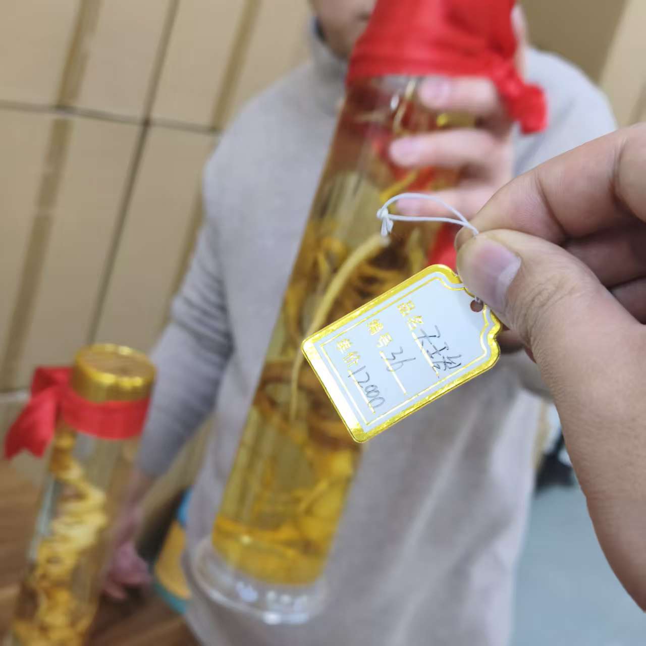 36号天王参参王【袁瑞泽推荐】