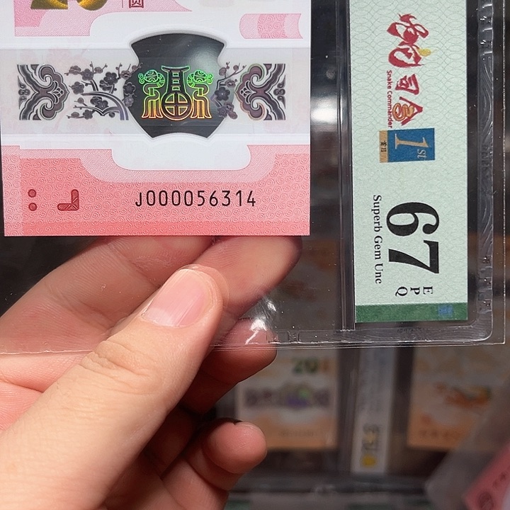 塑料蛇钞啊啊啊啊啊啊啊啊