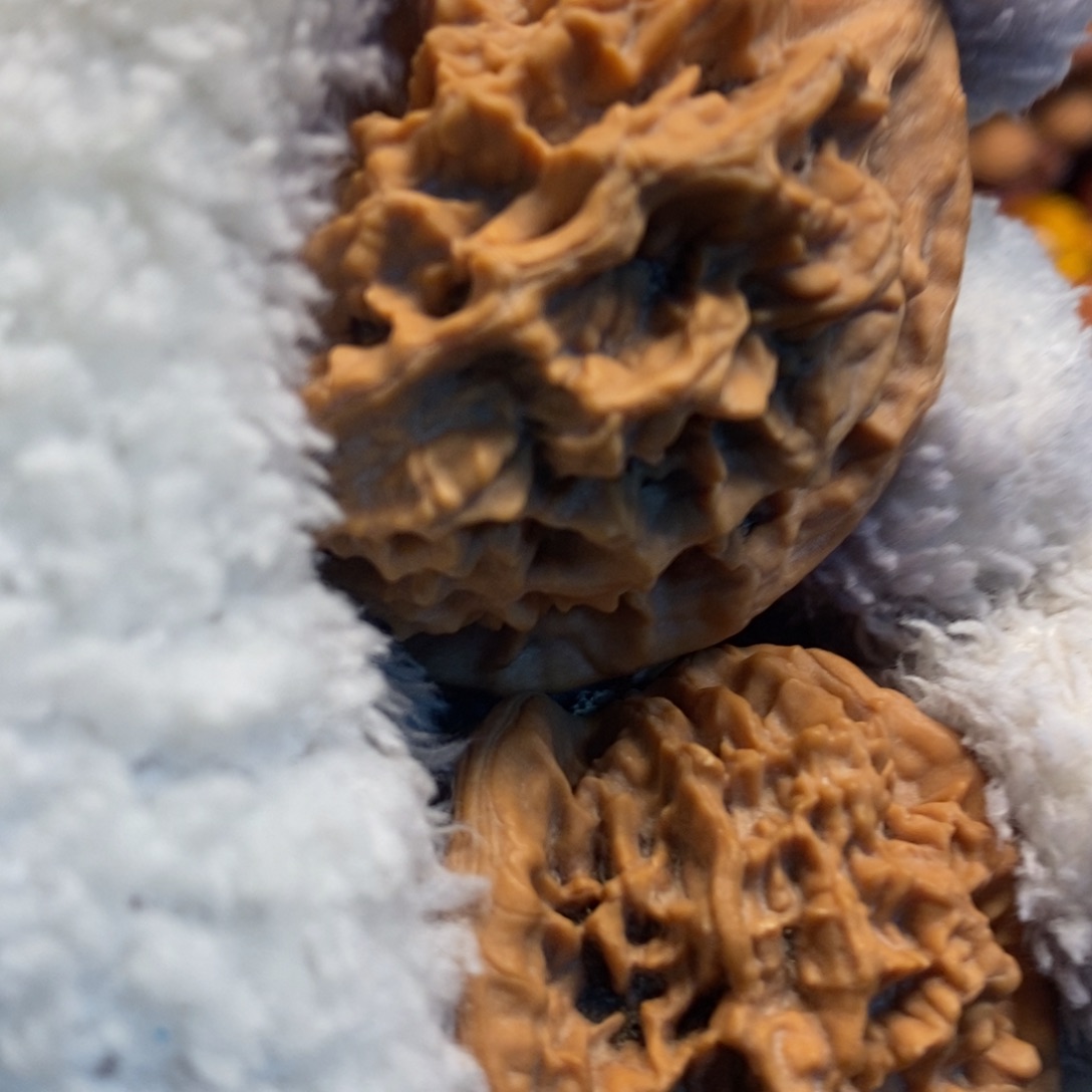 秦岭之北为一片开阔