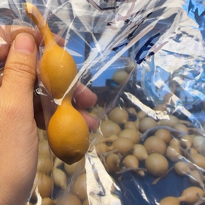 _***见大叶紫檀（黑酸枝木类）