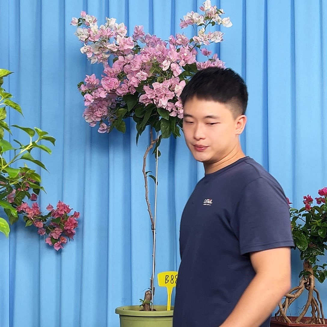 L****当前无花栽培后可以开花B88广红樱