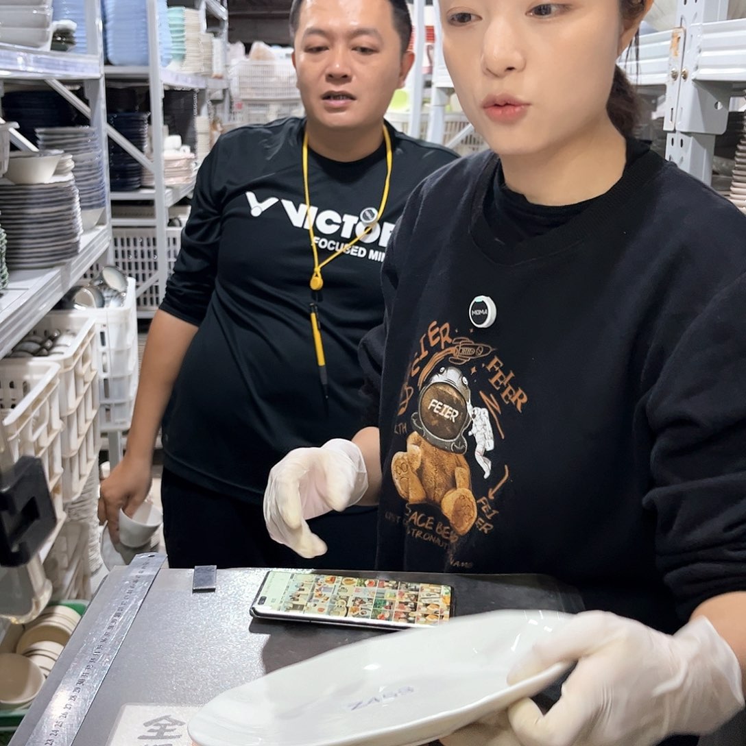 瓷片453                2个