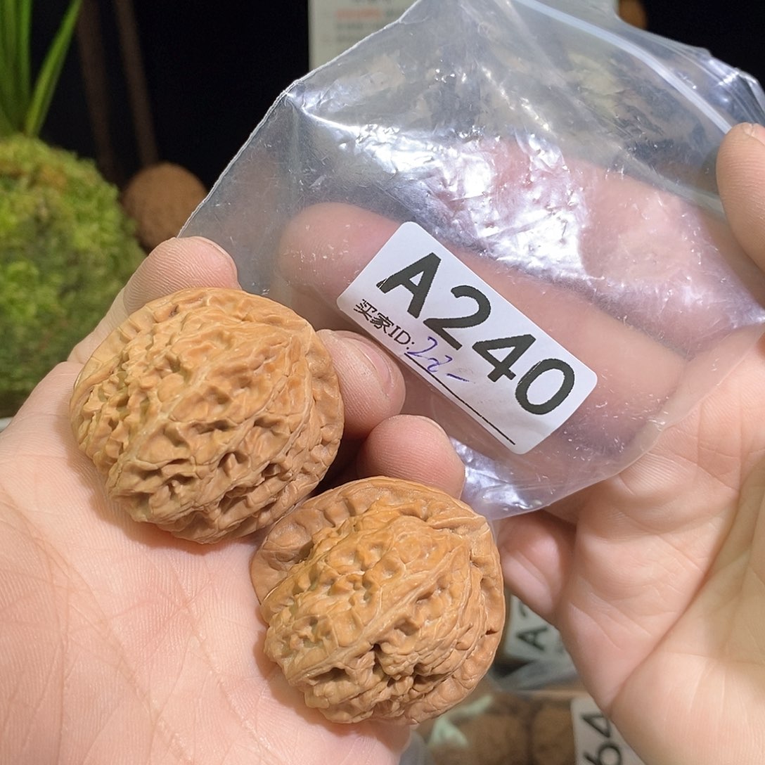 桃核把件三角白。          37尺