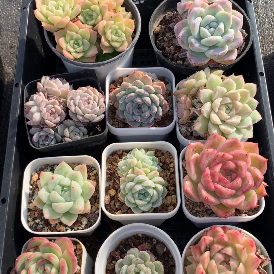 1208-125 套餐一组