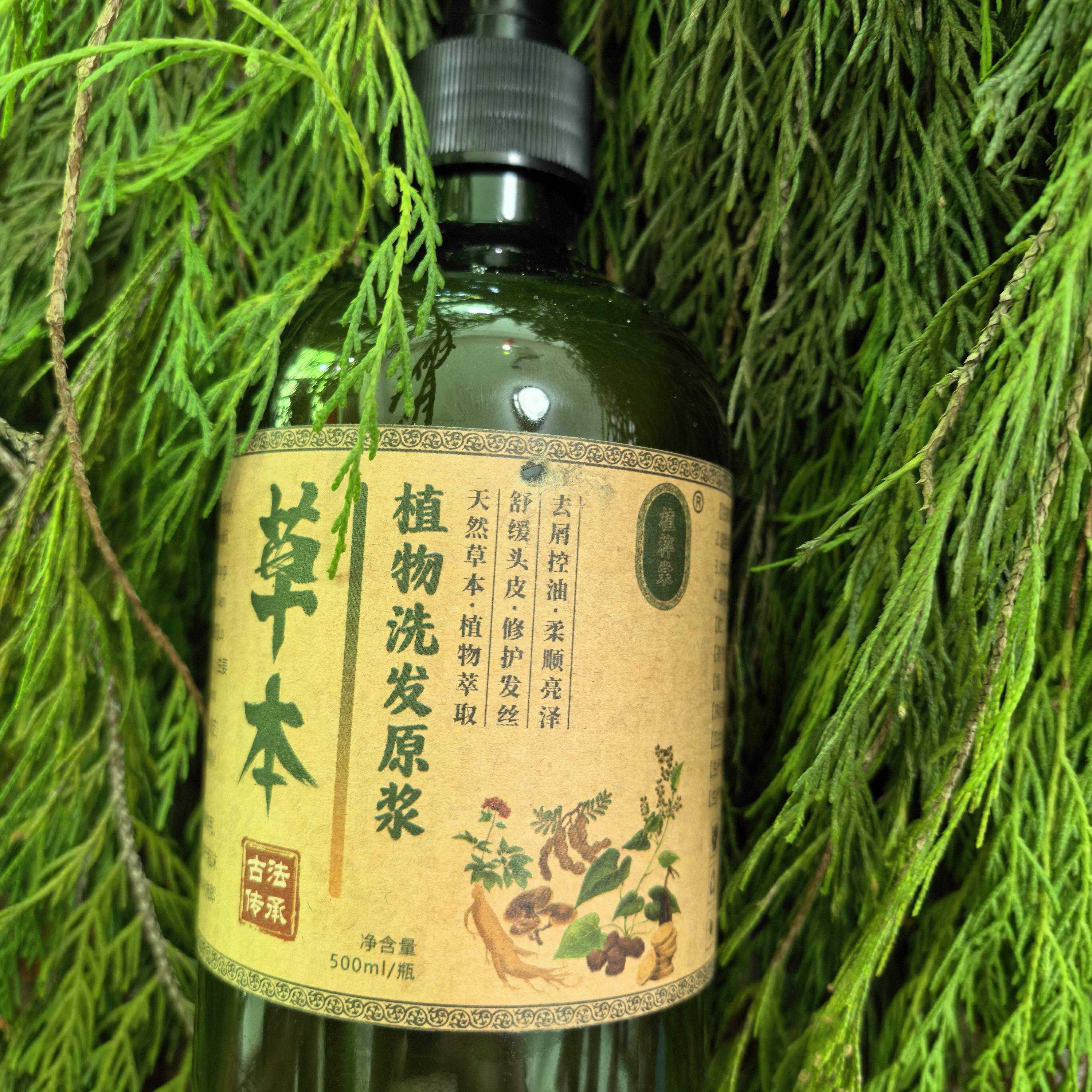 植萃堂 草本植物洗发原浆（拍一瓶到手2瓶）