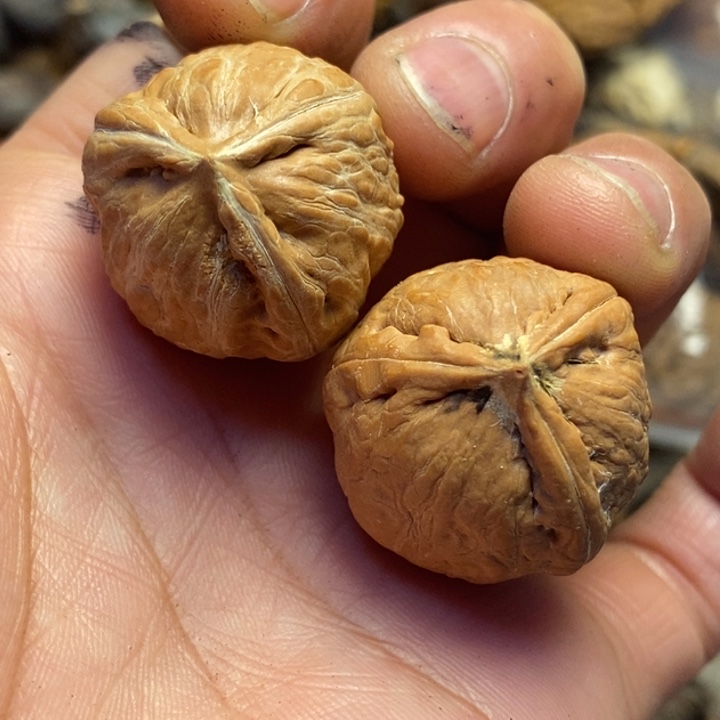 文玩核桃吊坠东北特产97