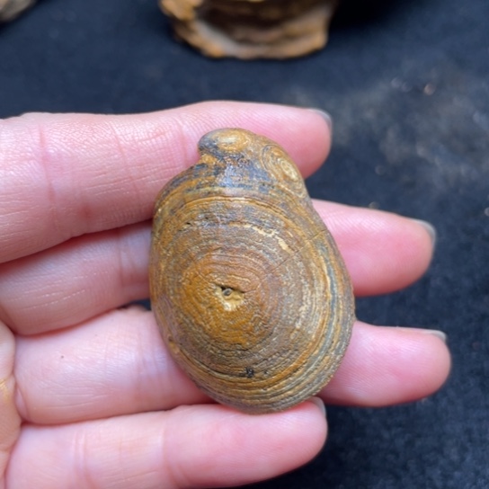 石材纯天然奇石45