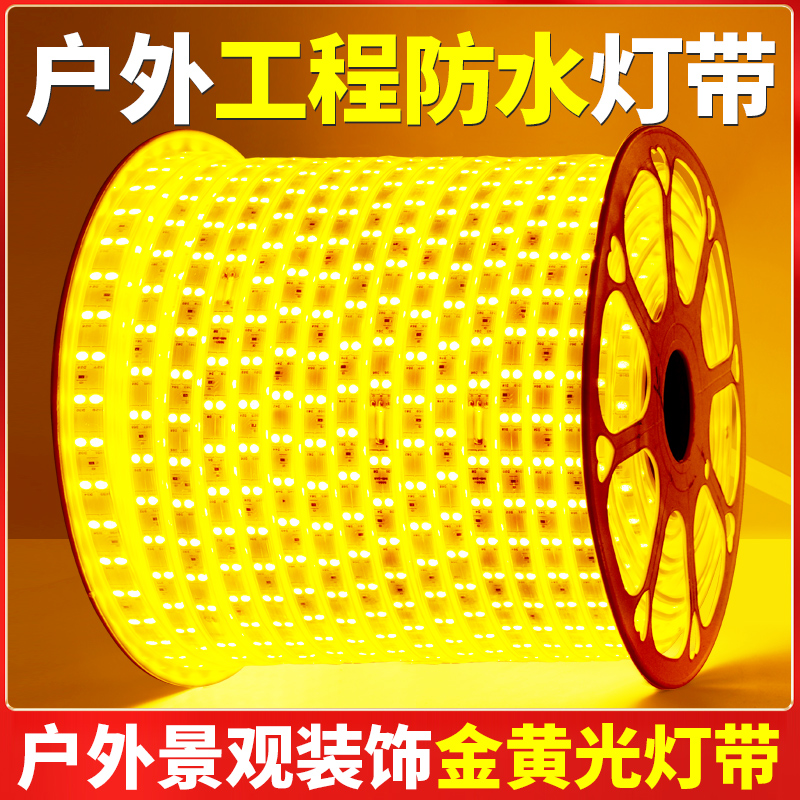 LED灯带金黄光户外亮化防水220V长条黄光灯条吊顶室外KTV装饰线灯