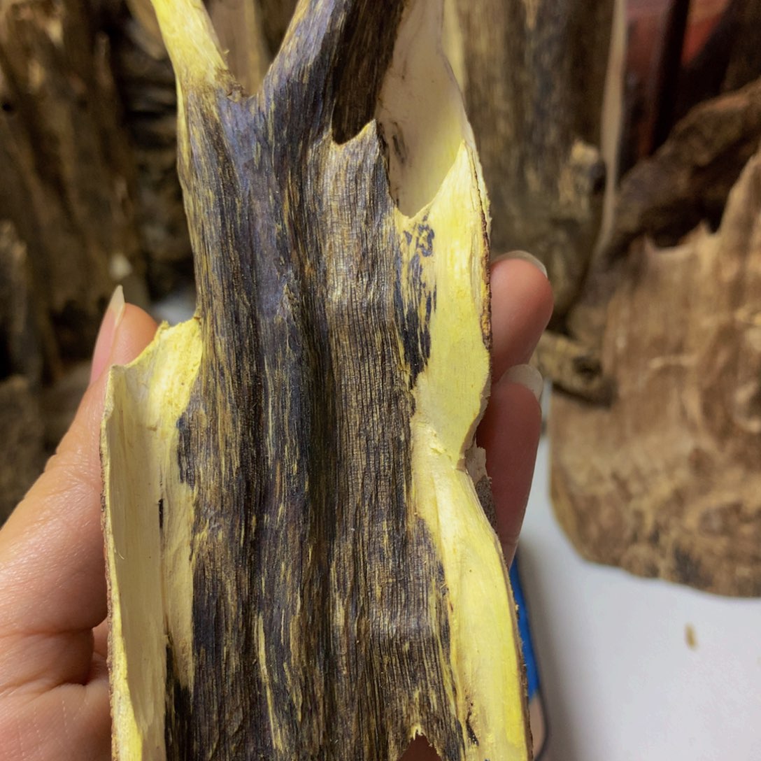 沉香沉香碎屑虎斑棋楠48克